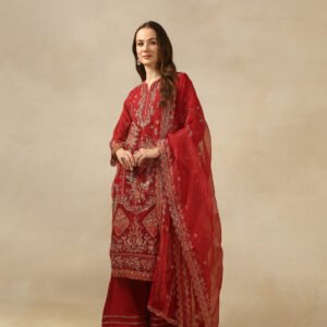 Ruby Red Embroidered Organza Pakistani Suit By Pehnawnii Suits